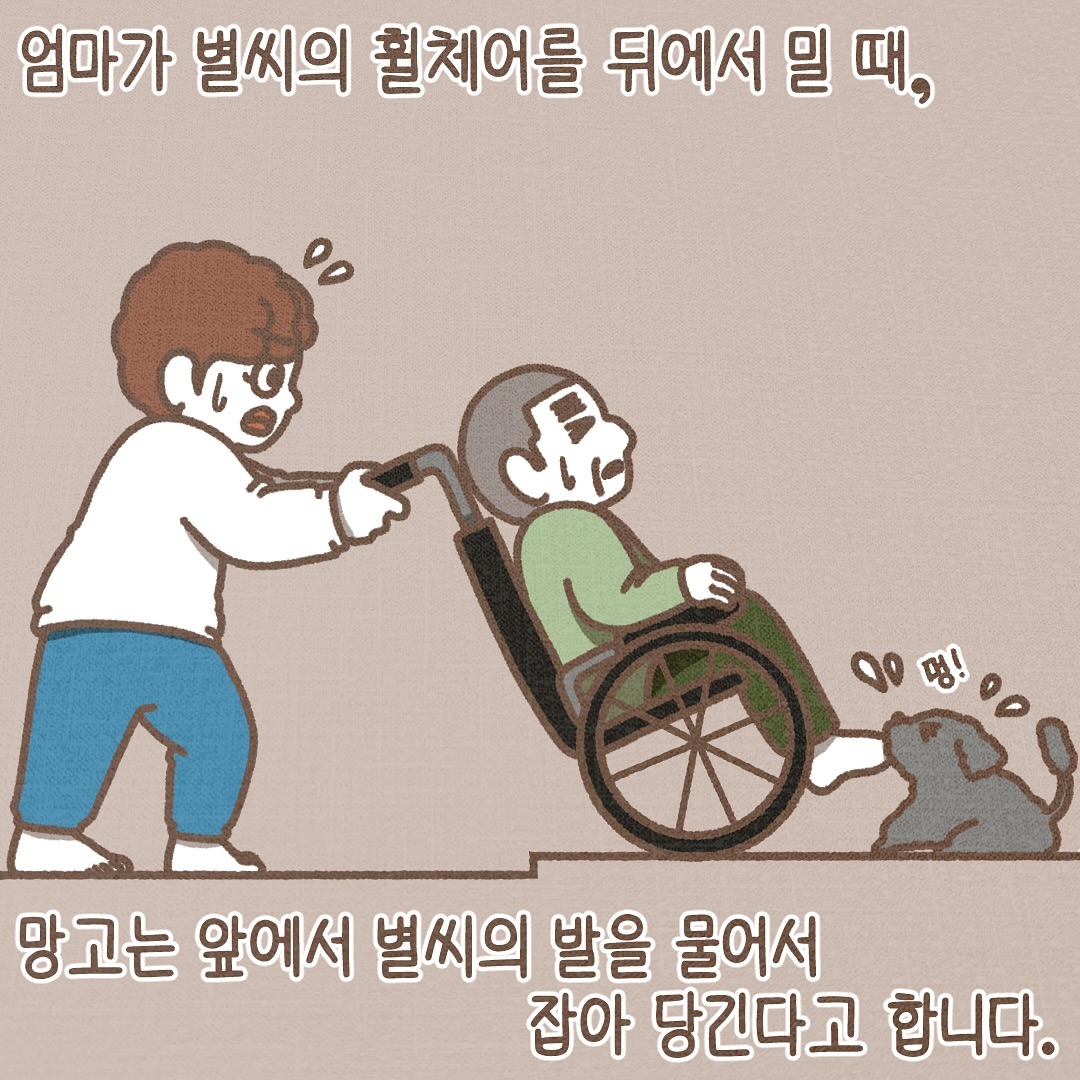 Post from 2024-11-28