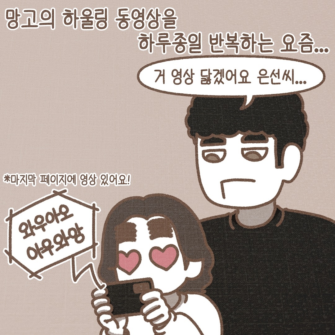 Post from 2024-10-18