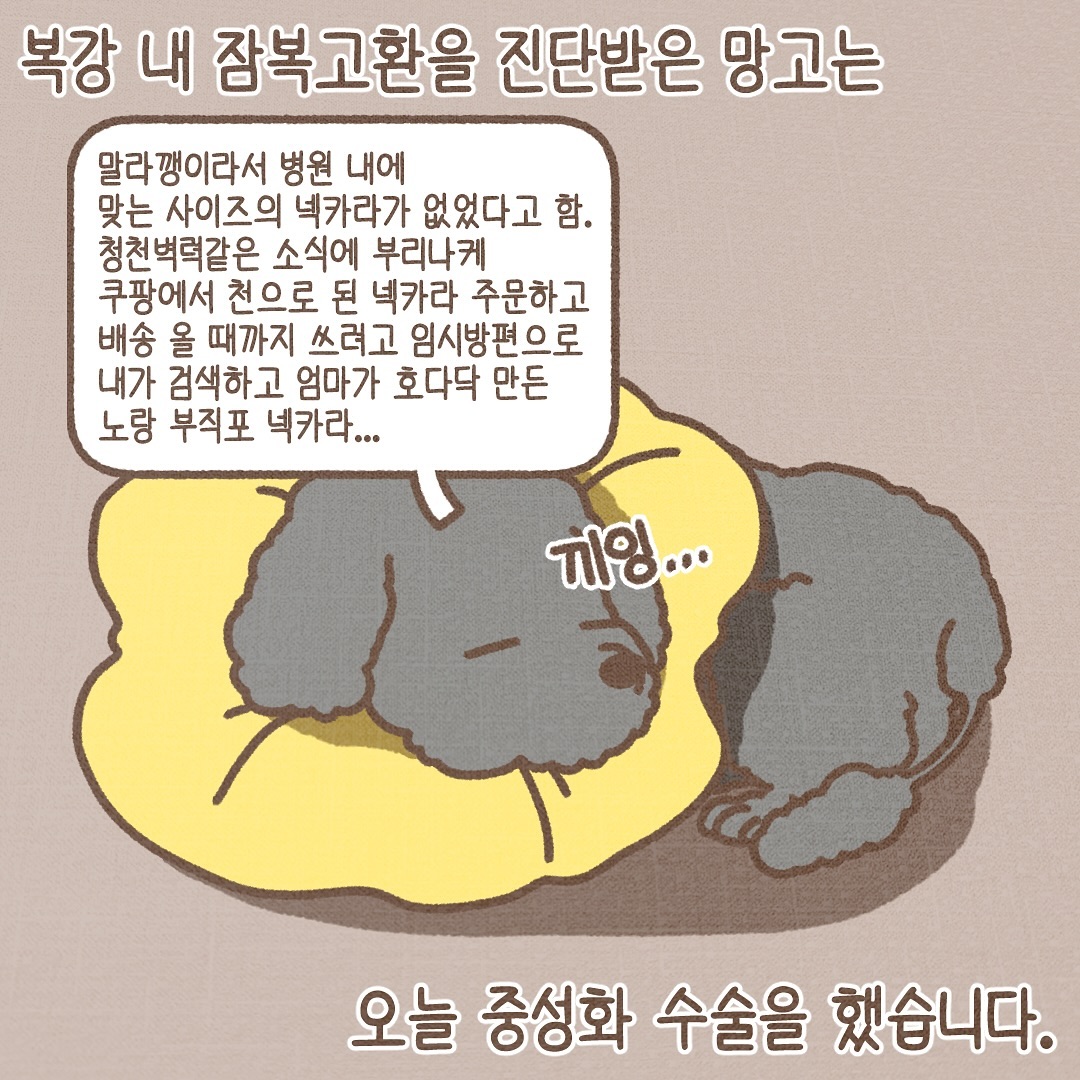 Post from 2024-12-10