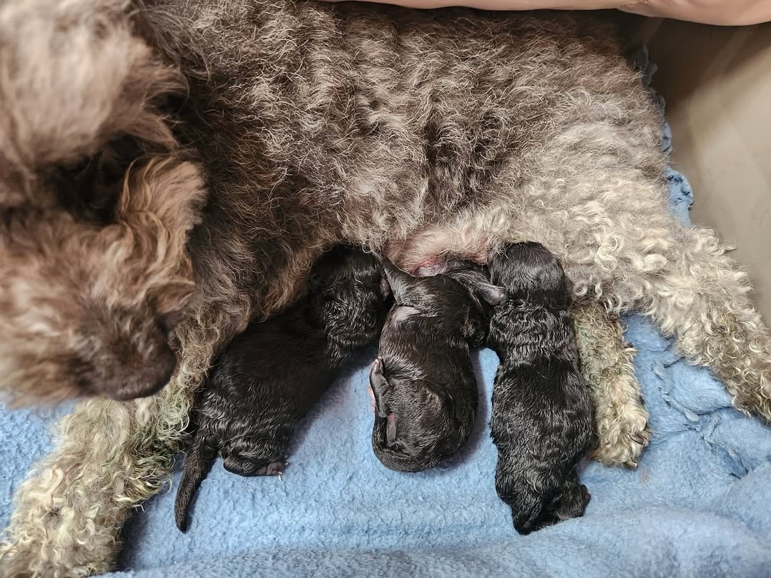 Post from 2024-04-18