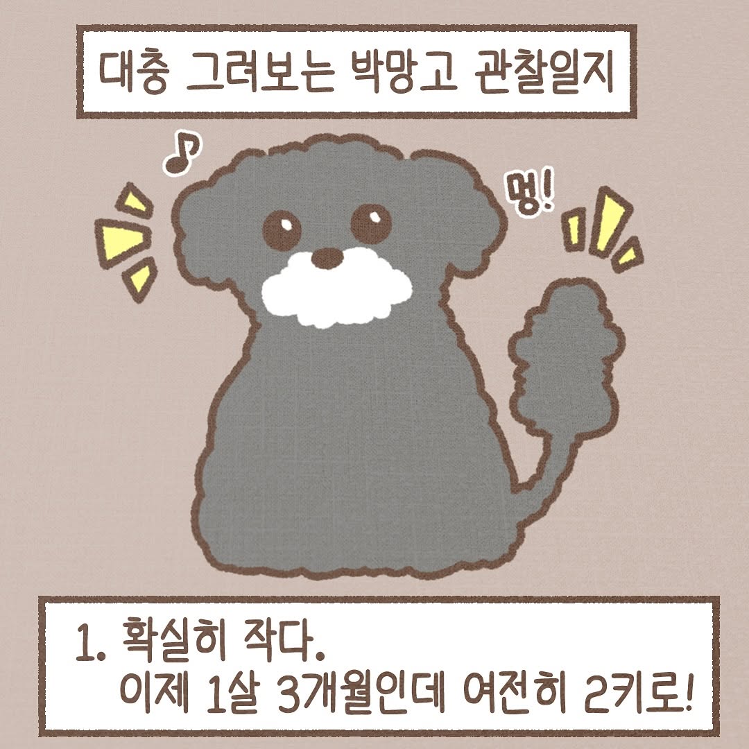 Post from 2025-07-04