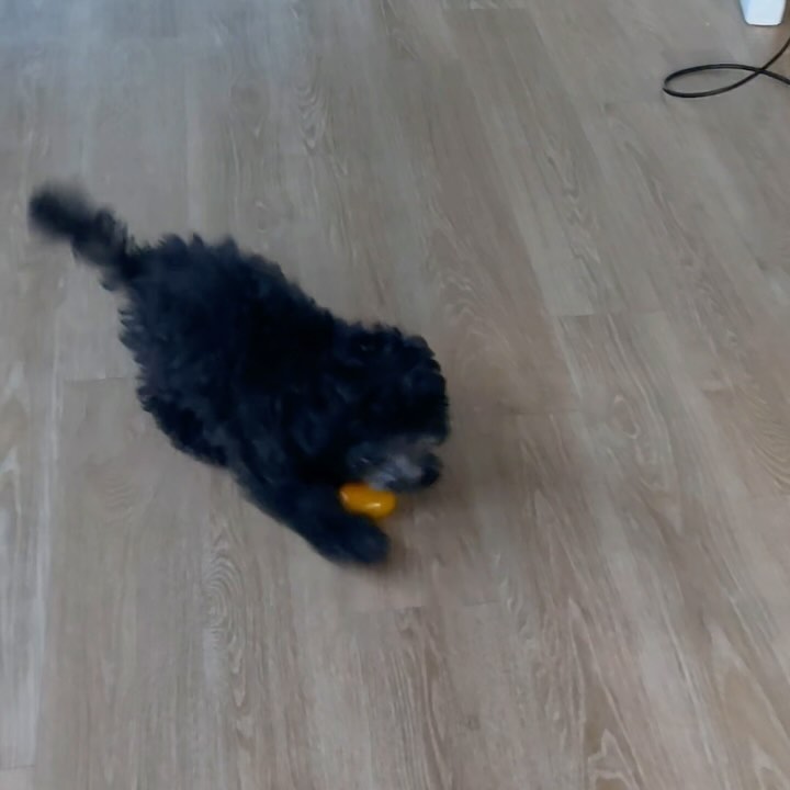 Post from 2024-07-17